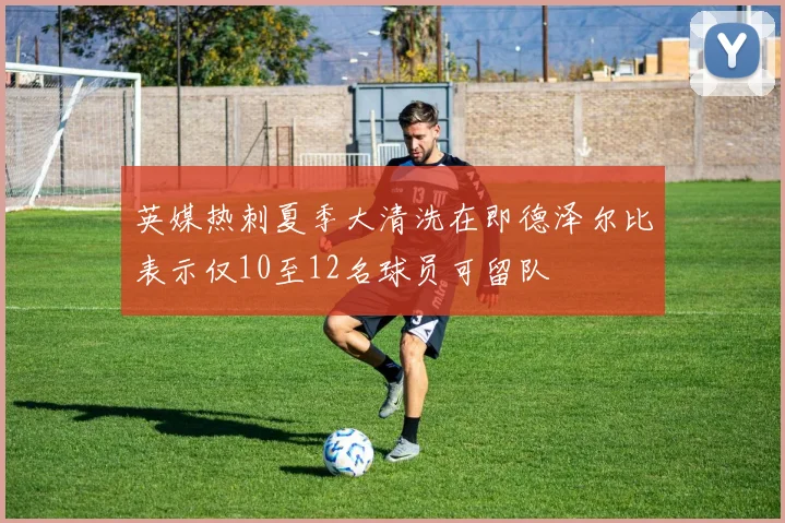英媒热刺夏季大清洗在即德泽尔比表示仅10至12名球员可留队